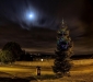 Trimdon Colliery Christmas Tree courtesy of George Ford