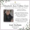 Elizabeth Ann Collins