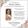 Sheila Collins